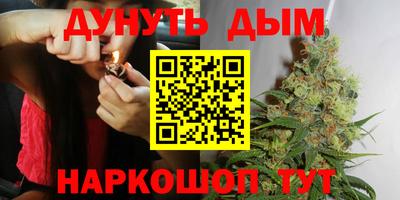 крисы Бузулук