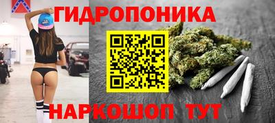 крисы Бузулук