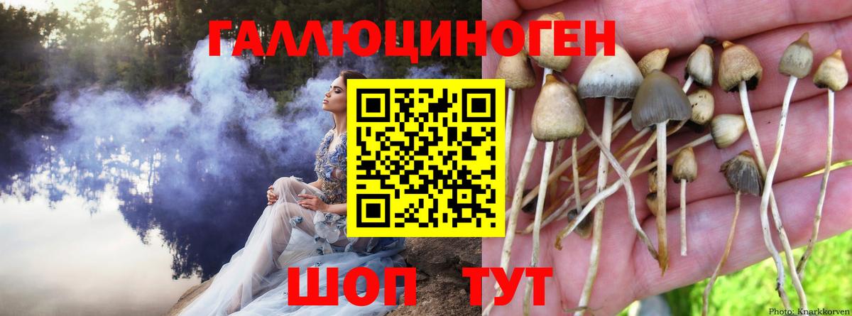 Псилоцибиновые грибы ЛСД  Вход с VPN  Галлюциногенные грибы Cubensis  сколько стоит  Сланцы 